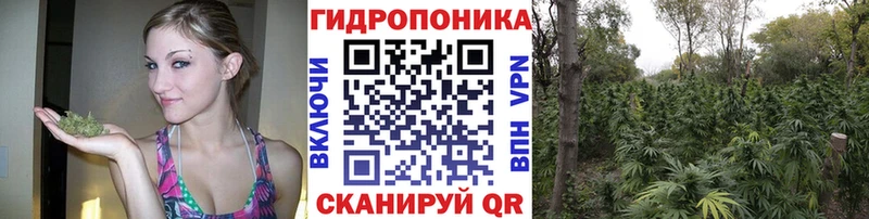 Где продают наркотики Ак-Довурак Гашиш  А ПВП  Бутират  Марихуана  Мефедрон 