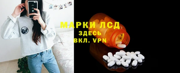стаф Абинск