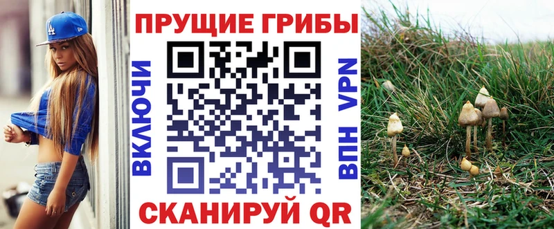 Псилоцибиновые грибы ЛСД  мега ссылки  Ак-Довурак 